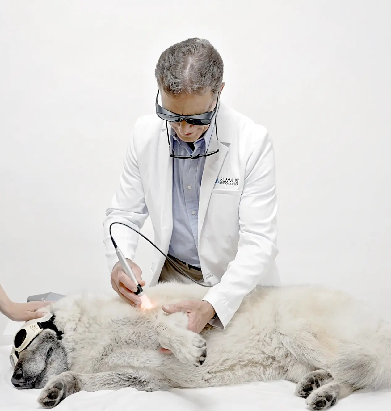 Veterinarian providing Summus laser therapy to a dog